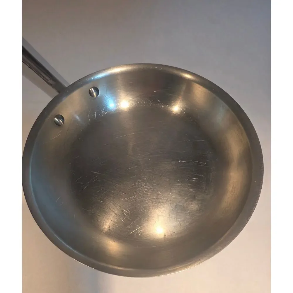 All-Clad Stainless Steel Fry Pan Skillet 10